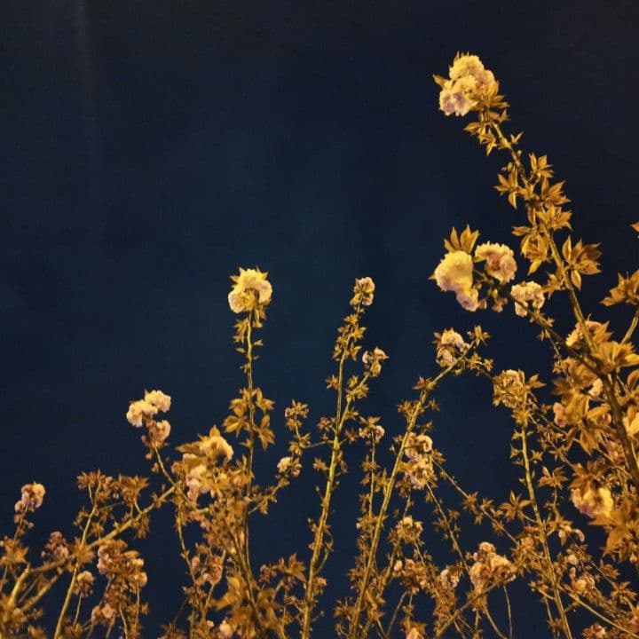 Color 9