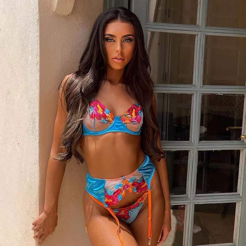 New Color Block Embroidery Erotic Lingerie Sexy Women Transparent Steel Ring Lingerie Thong Sets