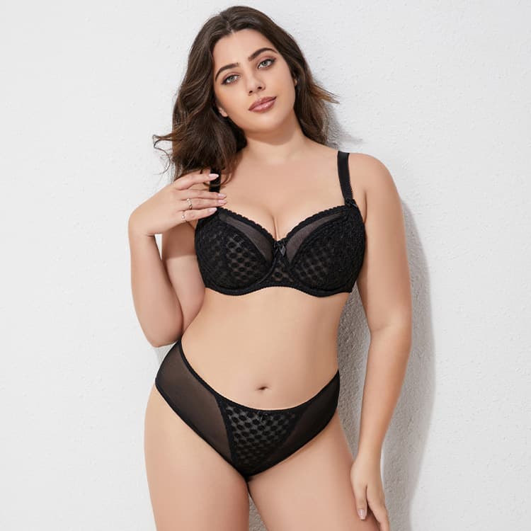 Wenshuo Plus Size Push up Cotton Bra Wholesale Embroidered Lingerie Custom logo See Through Lace Lingerie Factory Direct