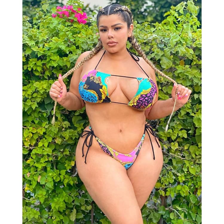 Hot Selling New Designer Sexy Bikini Set Plus Size Bathing Suit Printing Girl Swimwear Beachwear (Old)
