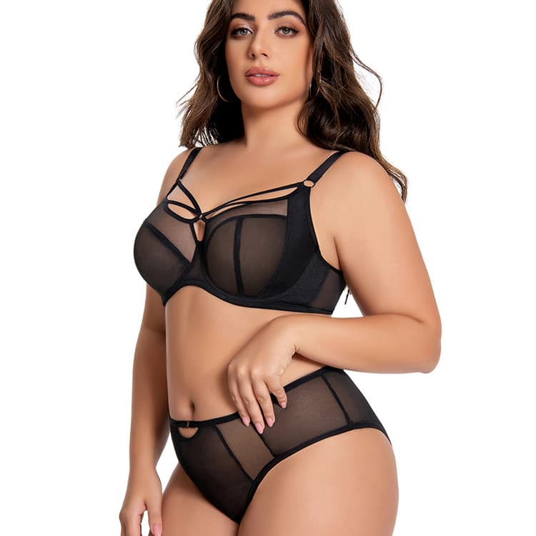 Wenshuo Plus Size Mesh Lingerie Factory Direct Lace Lingerie Wholesale See Through Sexy Lingerie Custom logo