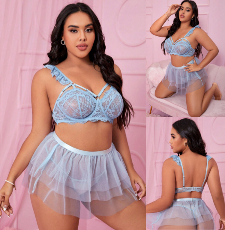 Plus Size Transparent Mesh Sexy Lingerie Three Point Lace Women Underwear Set