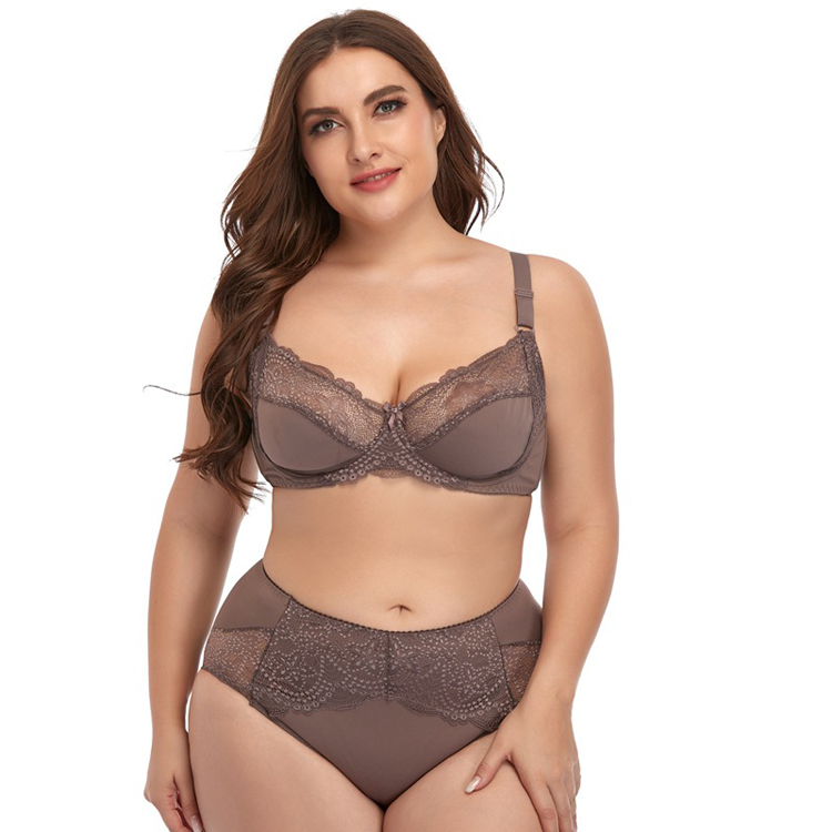 D Cup Sexy Lace Bra Set Plus Size Ladies Briefs Set Big Breast Show Small Bra